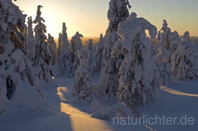 R2076 Winter in Finnland - Christoph Robiller