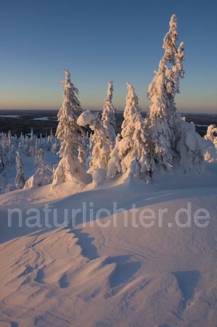 R2080 Winter in Finnland - Christoph Robiller