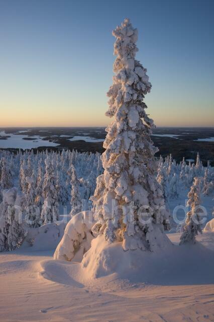 R2081 Winter in Finnland - Christoph Robiller