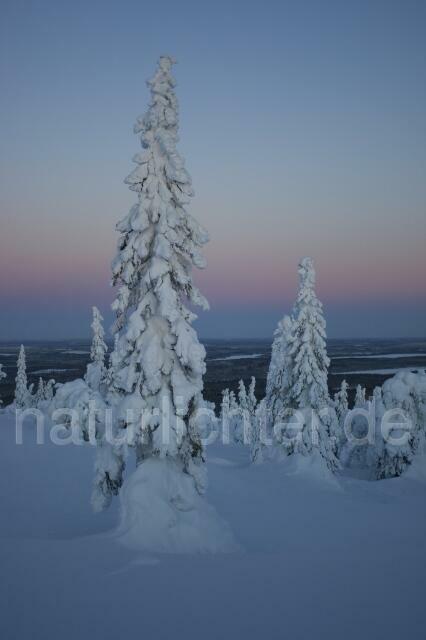 R2087 Winter in Finnland - Christoph Robiller