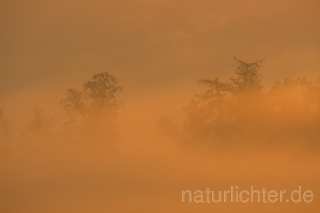 R3833 Nebel, Sonnenaufgang - Christoph Robiller