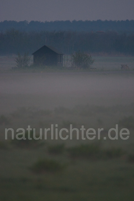 R6411 Morgen auf Texel - Christoph Robiller