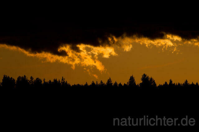 R7890 Abend, Sonnenuntergang, Sunset, Finnland, Finland - Christoph Robiller