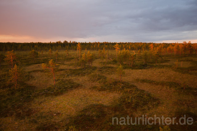 R7904 Abend, Sonnenuntergang, Sunset, Finnland, Finland - Christoph Robiller