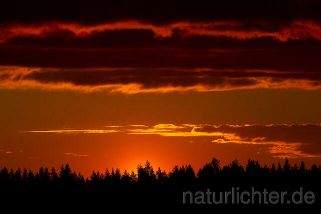 R7906 Abend, Sonnenuntergang, Sunset, Finnland, Finland - Christoph Robiller