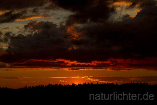 R7907 Abend, Sonnenuntergang, Sunset, Finnland, Finland - Christoph Robiller