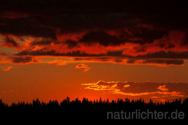 R7910 Abend, Sonnenuntergang, Sunset, Finnland, Finland - Christoph Robiller