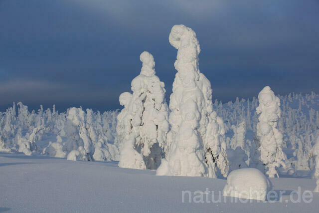 R9997 Riisitunturi im Winter, Finnland, Kuusamo - Christoph Robiller