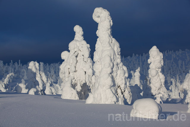 R9998 Riisitunturi im Winter, Finnland, Kuusamo - Christoph Robiller
