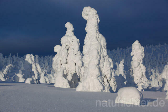 R9998 Riisitunturi im Winter, Finnland, Kuusamo - Christoph Robiller