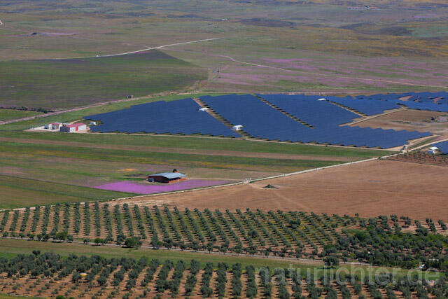 R10338 Extremadura, La Serena, Photovoltaikanlage, Spanien - Christoph Robiller