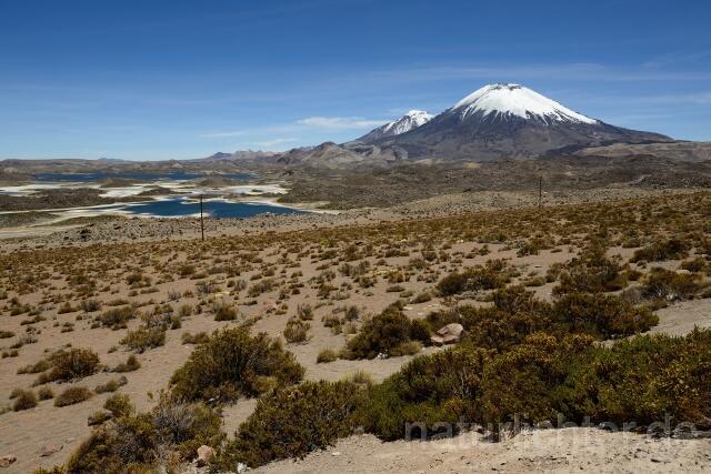 W12651 Lauca National Park,Chile - Peter Wächtershäuser