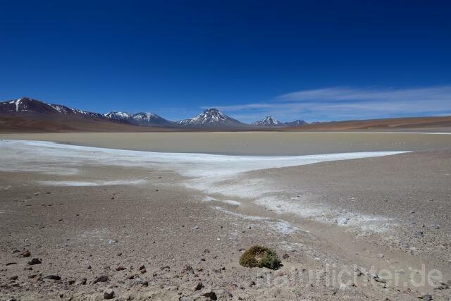 W12684 Atacama-Wüste,Chile - Peter Wächtershäuser
