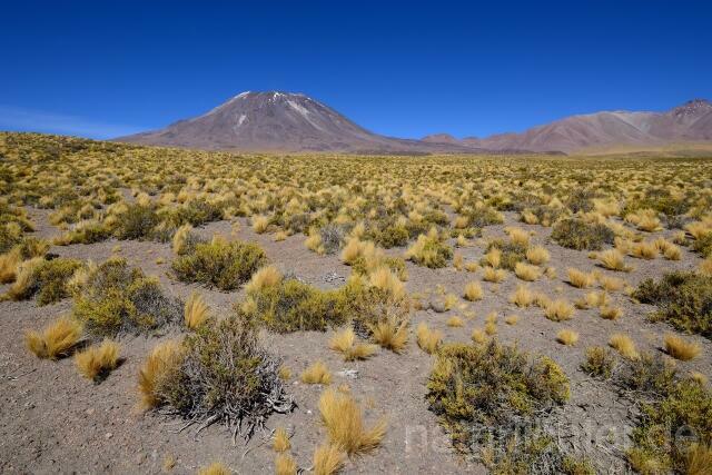 W12685 Atacama-Wüste,Chile - Peter Wächtershäuser