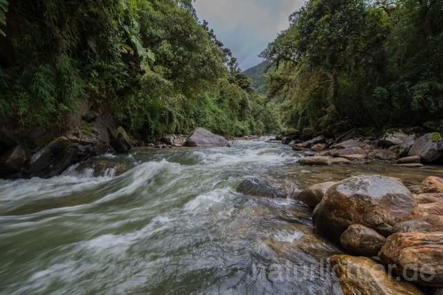 W14399 Ecuador - Peter Wächtershäuser