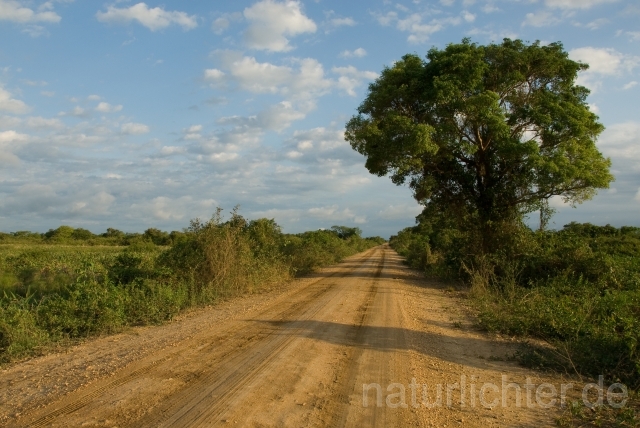 W2518 Pantanal - Peter Wächtershäuser