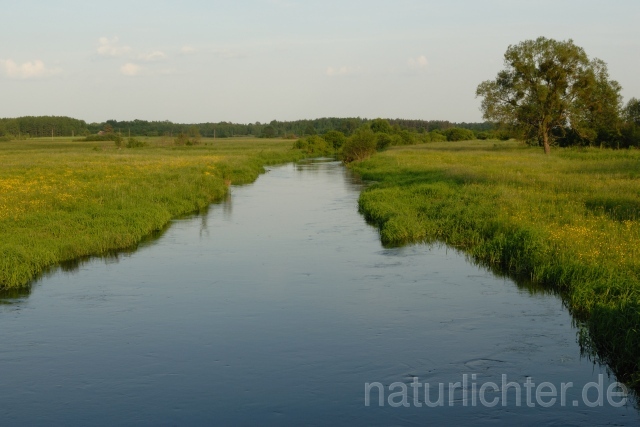 W6077 Narew - Peter Wächtershäuser