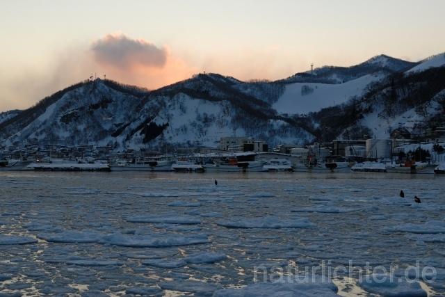 W8511 Japan,Hokkaido - Peter Wächtershäuser