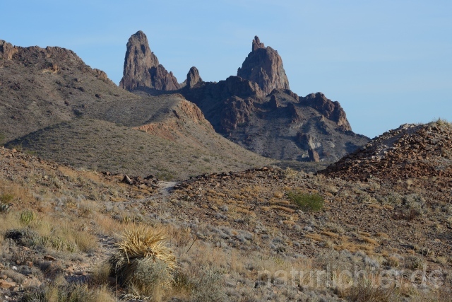 W9249 Big Bend National Park - Peter Wächtershäuser