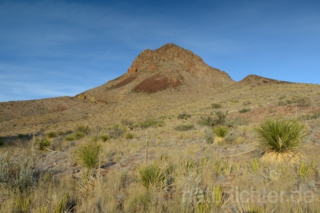 W9251 Big Bend National Park - Peter Wächtershäuser