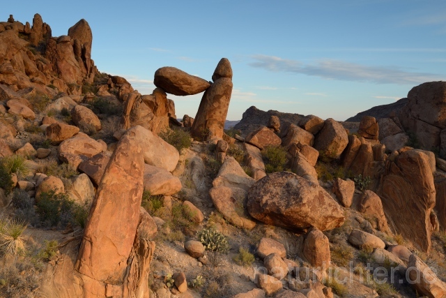 W9255 Big Bend National Park - Peter Wächtershäuser