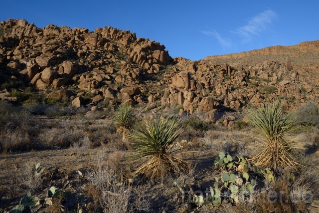 W9259 Big Bend National Park - Peter Wächtershäuser