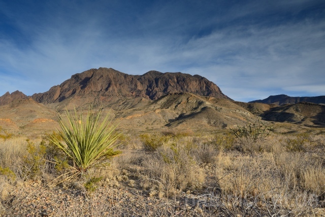 W9261 Big Bend National Park - Peter Wächtershäuser