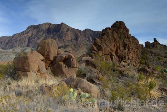 W9269 Big Bend National Park - Peter Wächtershäuser