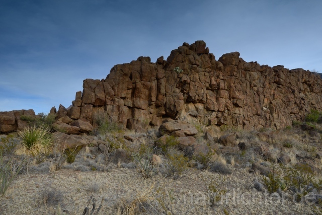 W9270 Big Bend National Park - Peter Wächtershäuser