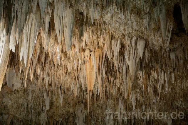 W9298 Carlsbad-Caverns-Nationalpark - Peter Wächtershäuser