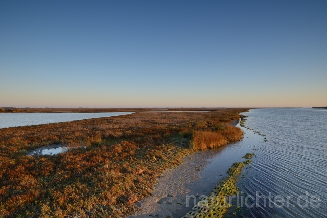 W9311 Aransas National Wildlife Refuge - Peter Wächtershäuser